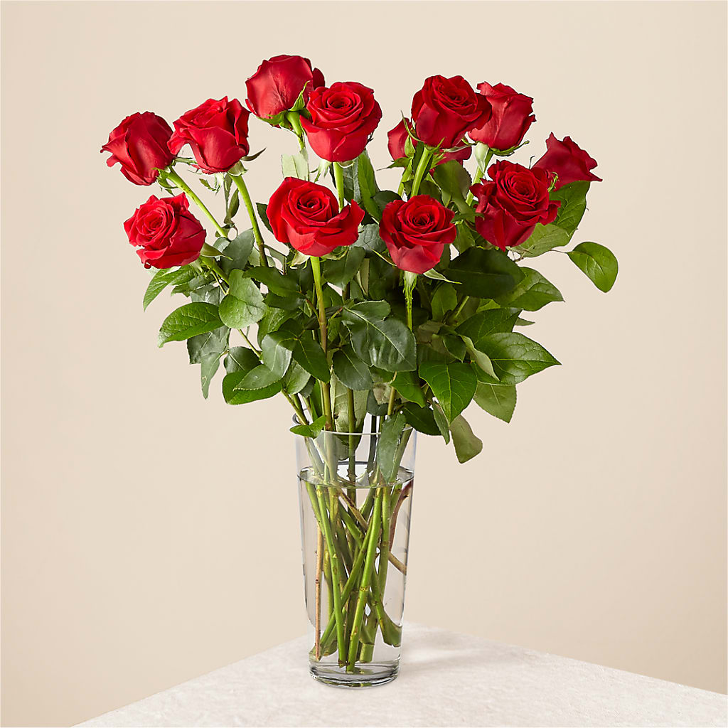 Long Stem Red Rose Bouquet – POTRATZ FLORAL SHOP & GREENHOUSES, Erie PA