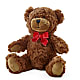 Adorable Plush Bear – POTRATZ FLORAL SHOP & GREENHOUSES, Erie PA