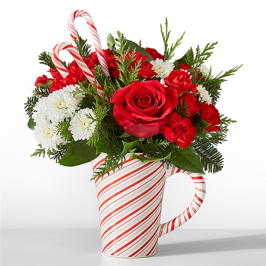 Peppermint Swirl Mug – POTRATZ FLORAL SHOP & GREENHOUSES, Erie PA