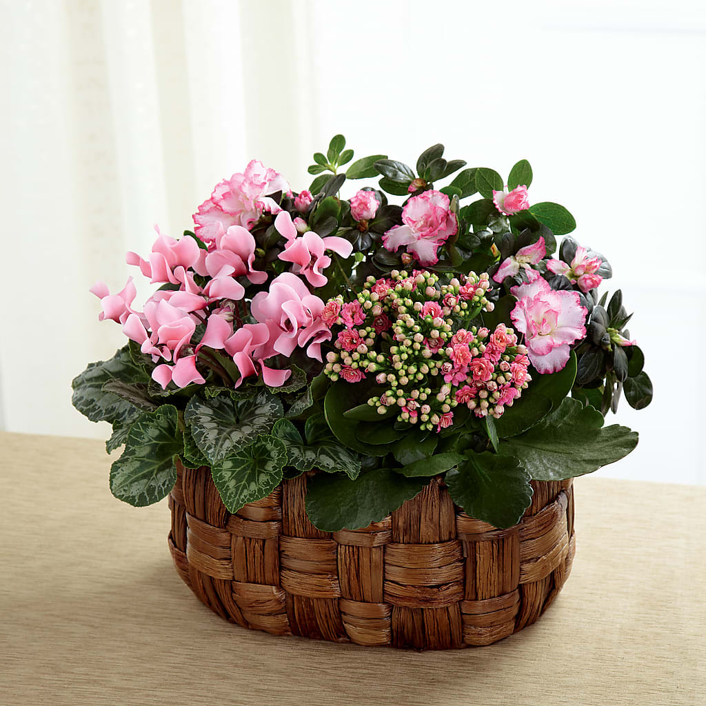 Pink Assortment – POTRATZ FLORAL SHOP & GREENHOUSES, Erie PA