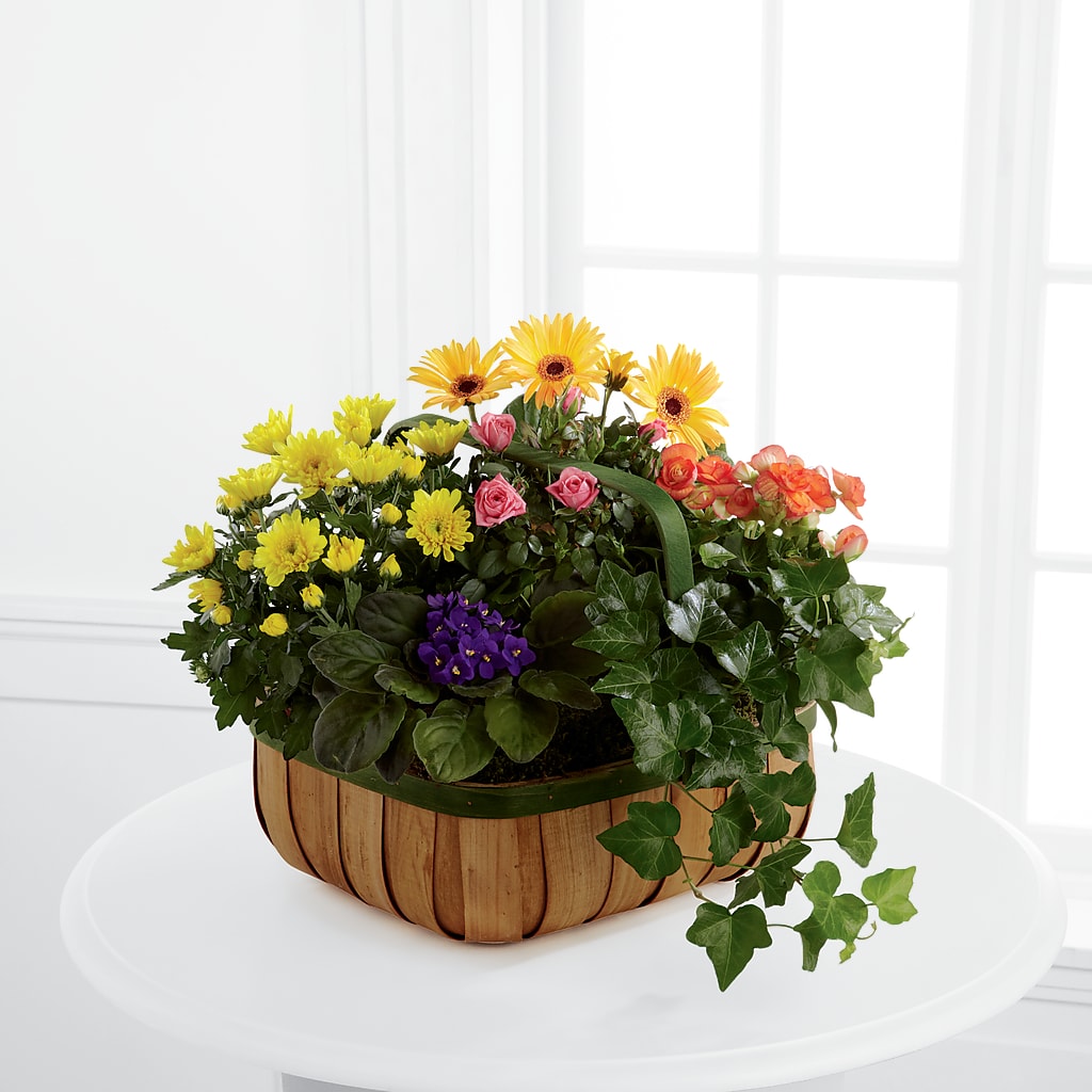 Gentle Blossoms Basket – POTRATZ FLORAL SHOP & GREENHOUSES, Erie PA