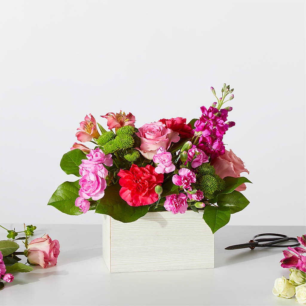 Sweetberry Box – A Florist Original – POTRATZ FLORAL SHOP & GREENHOUSES, Erie PA