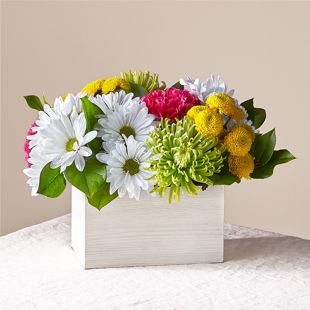 Sorbet Bouquet – POTRATZ FLORAL SHOP & GREENHOUSES, Erie PA