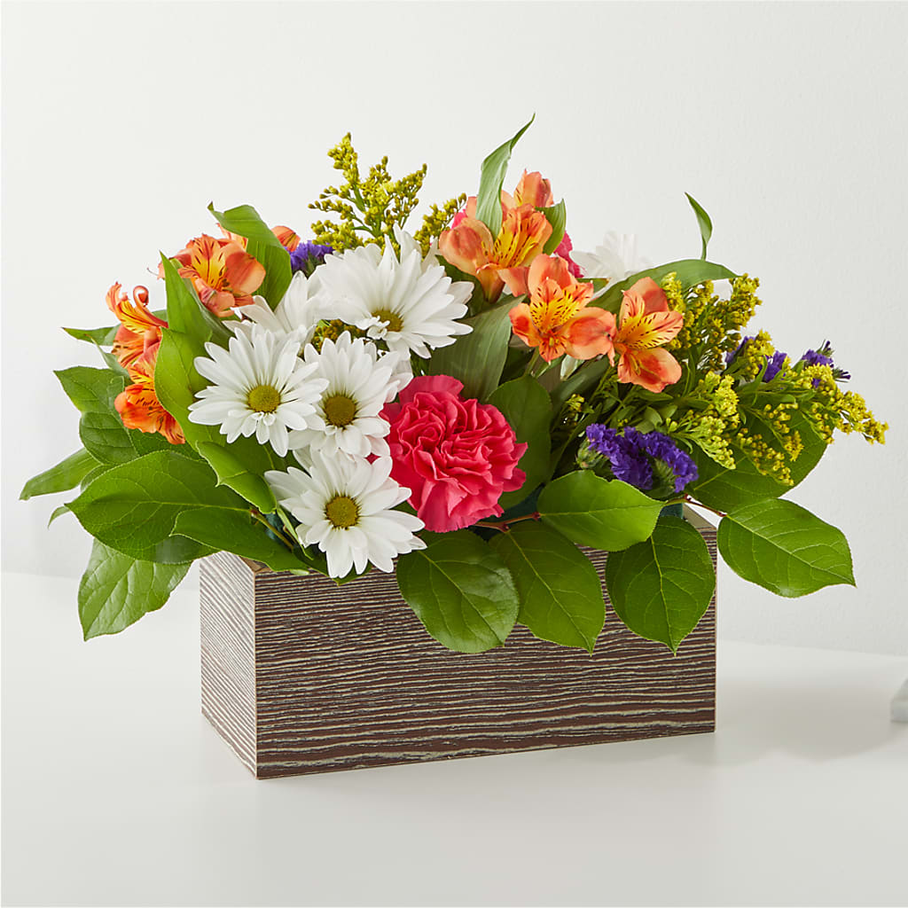 Oopsie Daisy Box Bouquet – POTRATZ FLORAL SHOP & GREENHOUSES, Erie PA