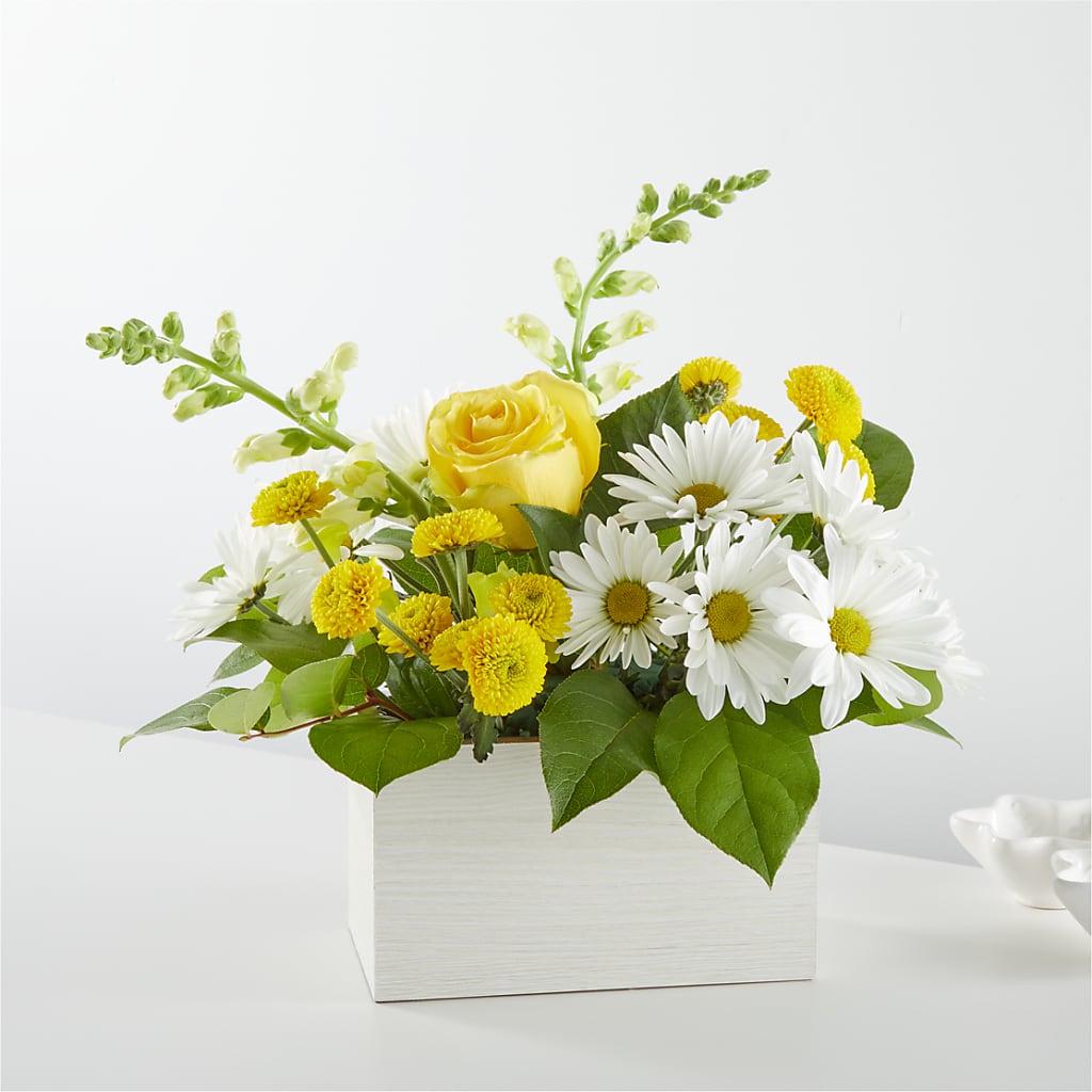 Sun Salutation Box Bouquet – POTRATZ FLORAL SHOP & GREENHOUSES, Erie PA