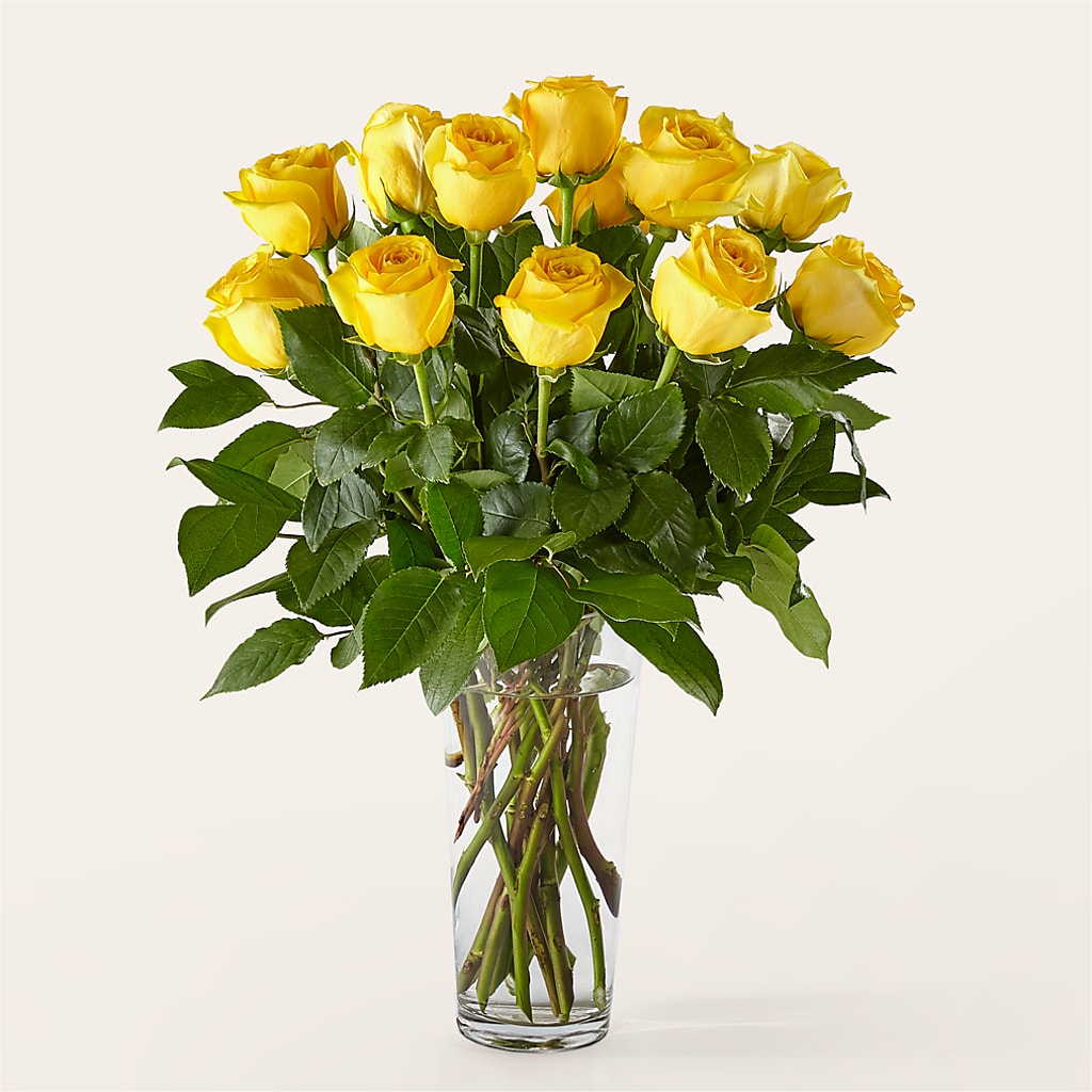 Long Stem Yellow Rose Bouquet – POTRATZ FLORAL SHOP & GREENHOUSES, Erie PA