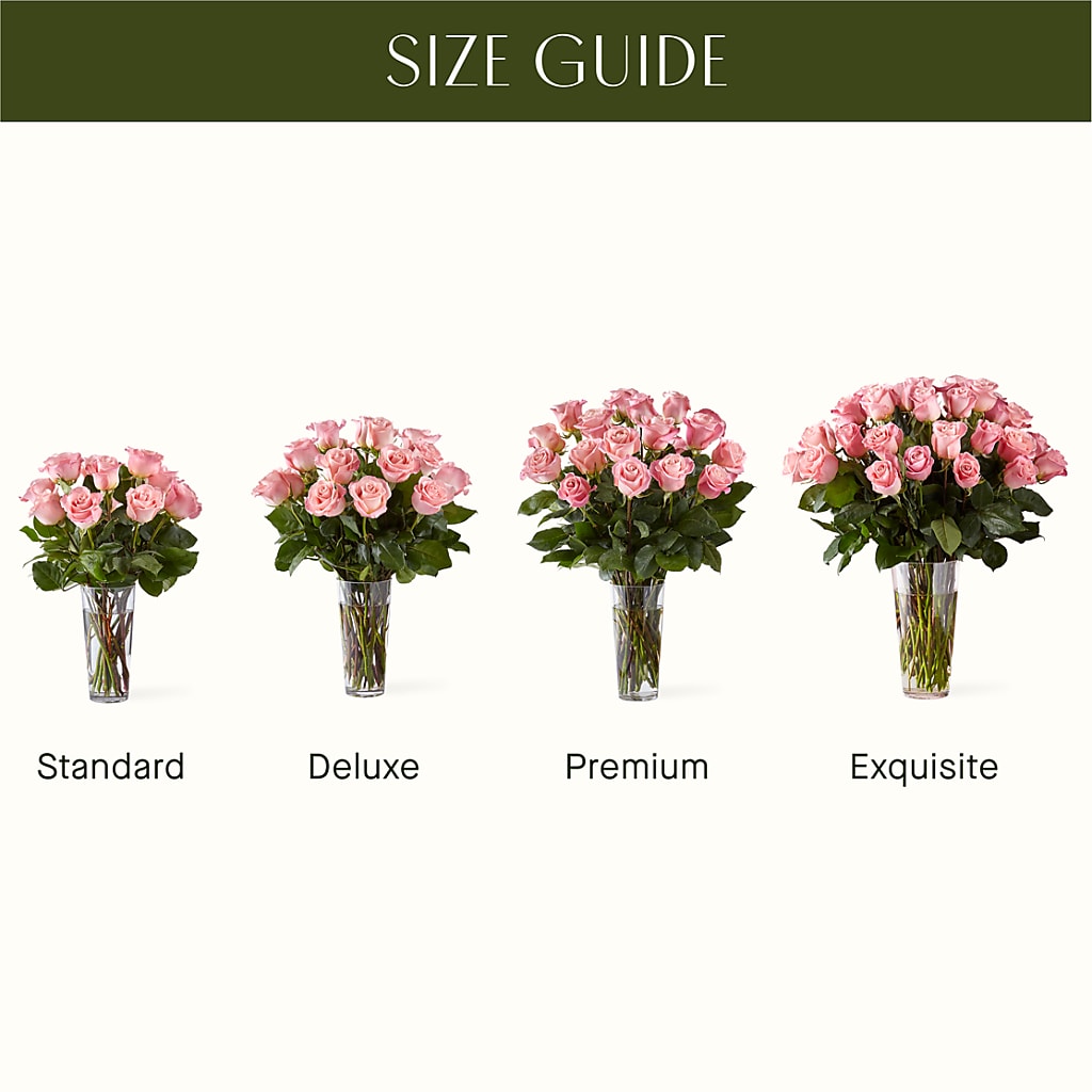 Long Stem Pink Rose Bouquet – POTRATZ FLORAL SHOP & GREENHOUSES, Erie PA