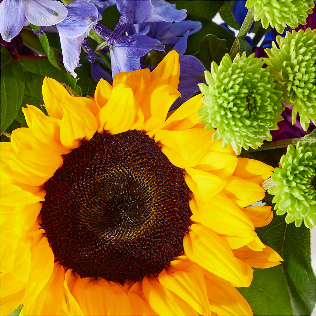Catching Rays Bouquet – POTRATZ FLORAL SHOP & GREENHOUSES, Erie PA