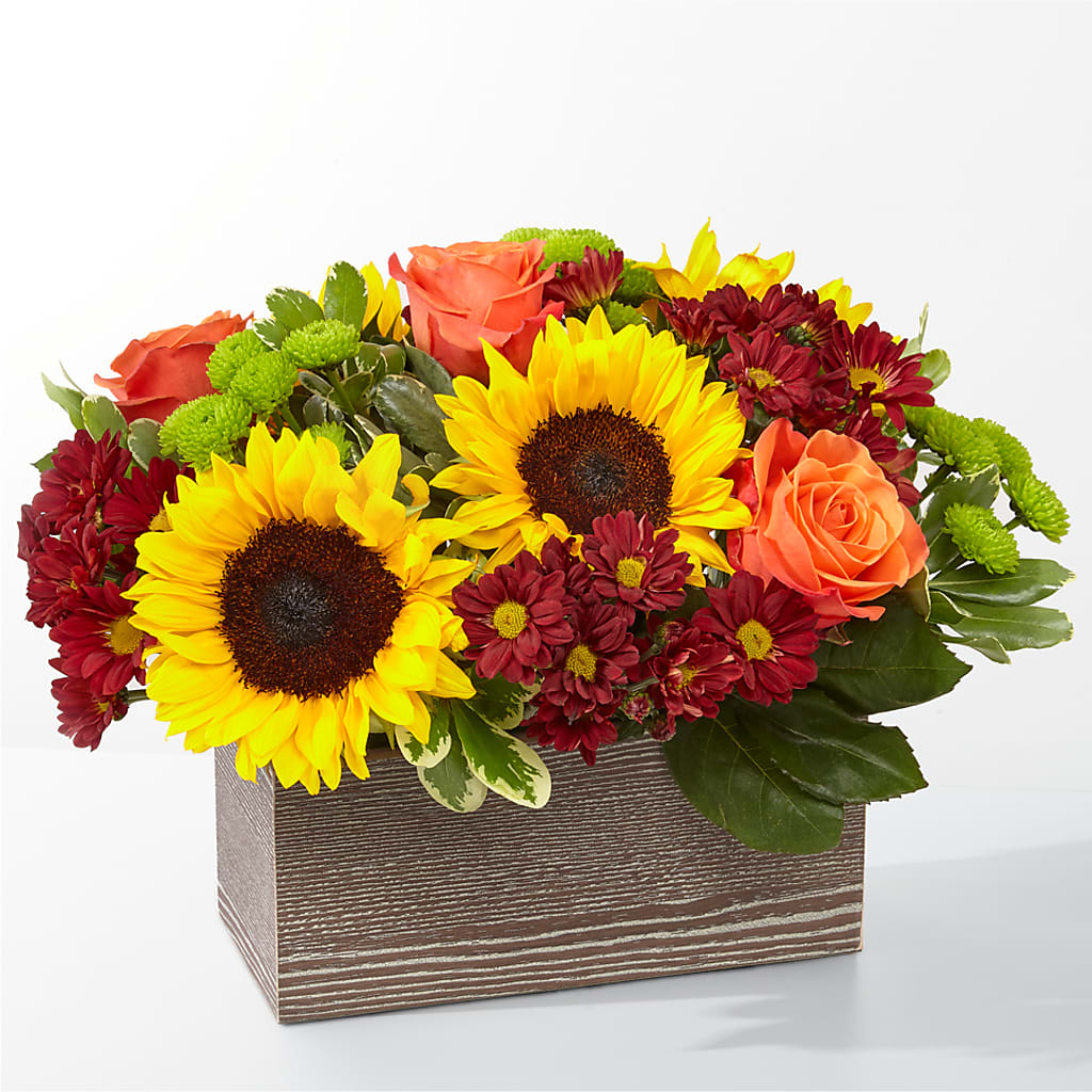 Happy Harvest Garden – POTRATZ FLORAL SHOP & GREENHOUSES, Erie PA