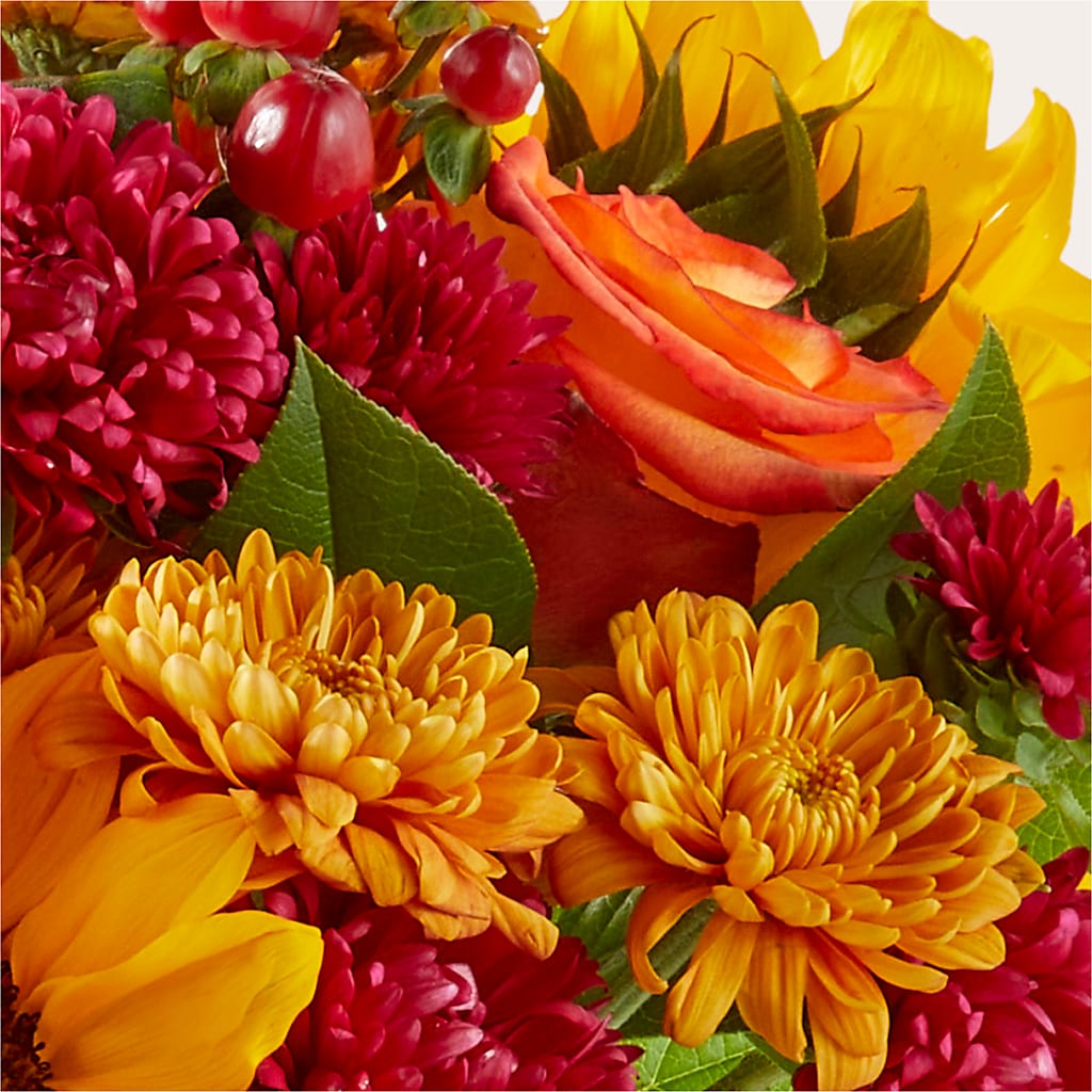 Sweater Season - A Florist Original – POTRATZ FLORAL SHOP & GREENHOUSES, Erie PA