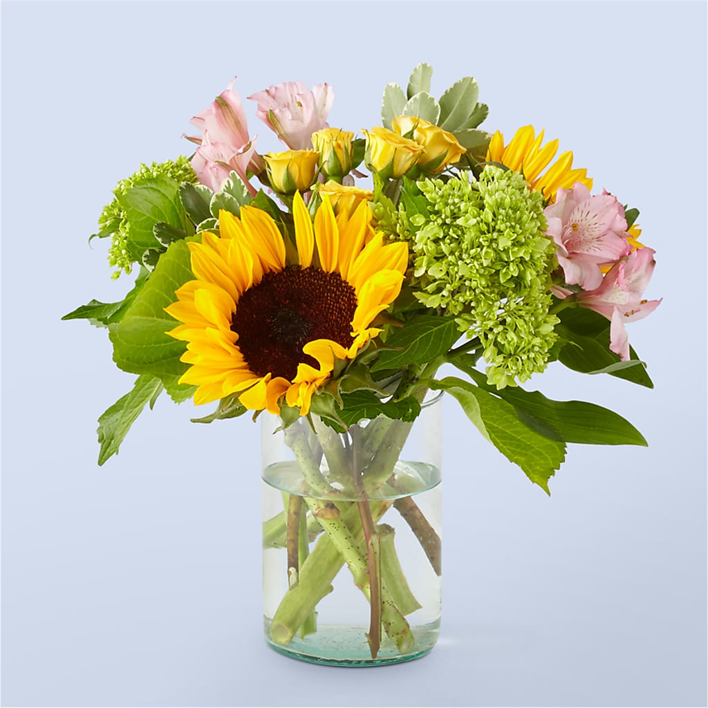 Butterfly Kisses Bouquet – POTRATZ FLORAL SHOP & GREENHOUSES, Erie PA