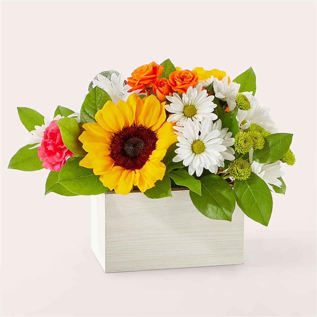 Sun-drenched Blooms Box Bouquet – POTRATZ FLORAL SHOP & GREENHOUSES, Erie PA