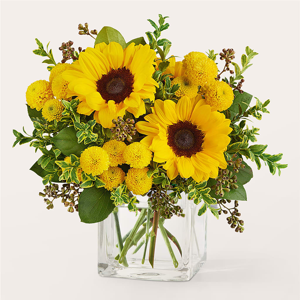 Luminous Morning Bouquet – POTRATZ FLORAL SHOP & GREENHOUSES, Erie PA