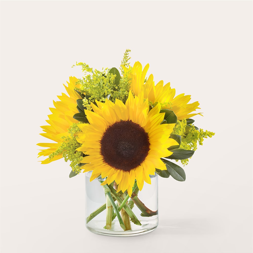 Beaming Sunflower Bouquet – POTRATZ FLORAL SHOP & GREENHOUSES, Erie PA