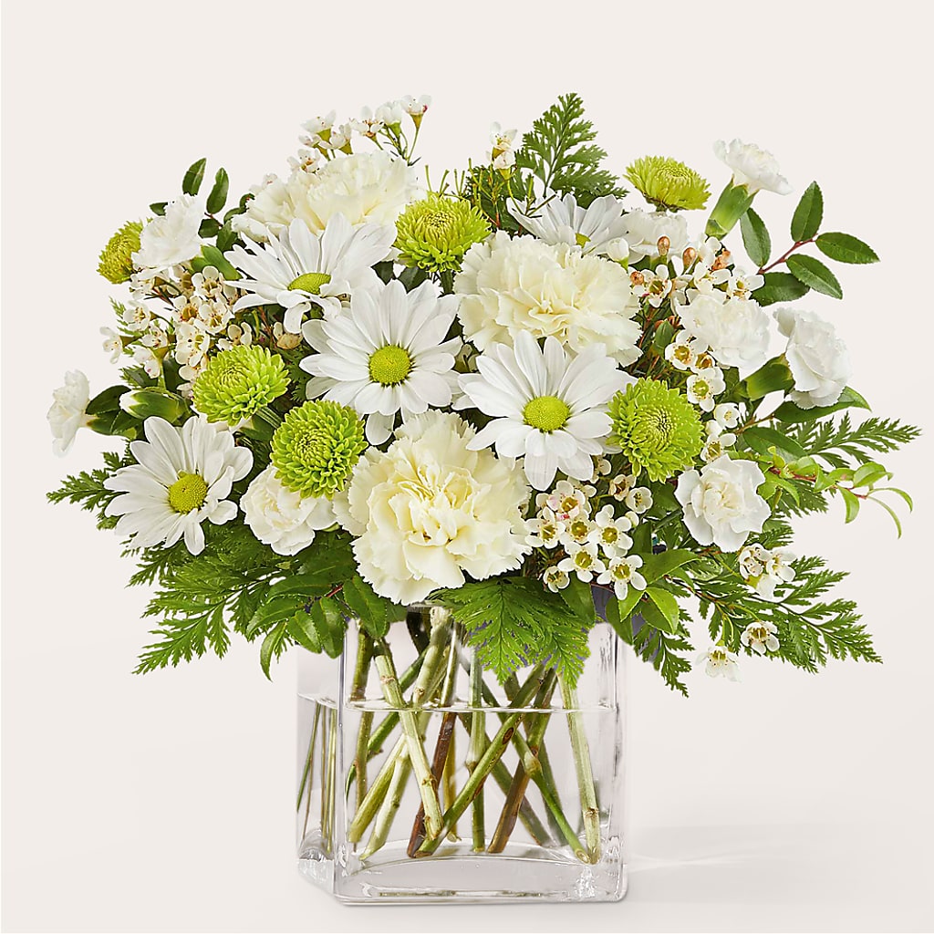 Momentary Meditation Bouquet – POTRATZ FLORAL SHOP & GREENHOUSES, Erie PA