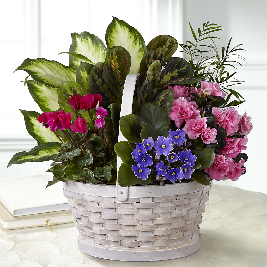 Peaceful Garden Planter – POTRATZ FLORAL SHOP & GREENHOUSES, Erie PA