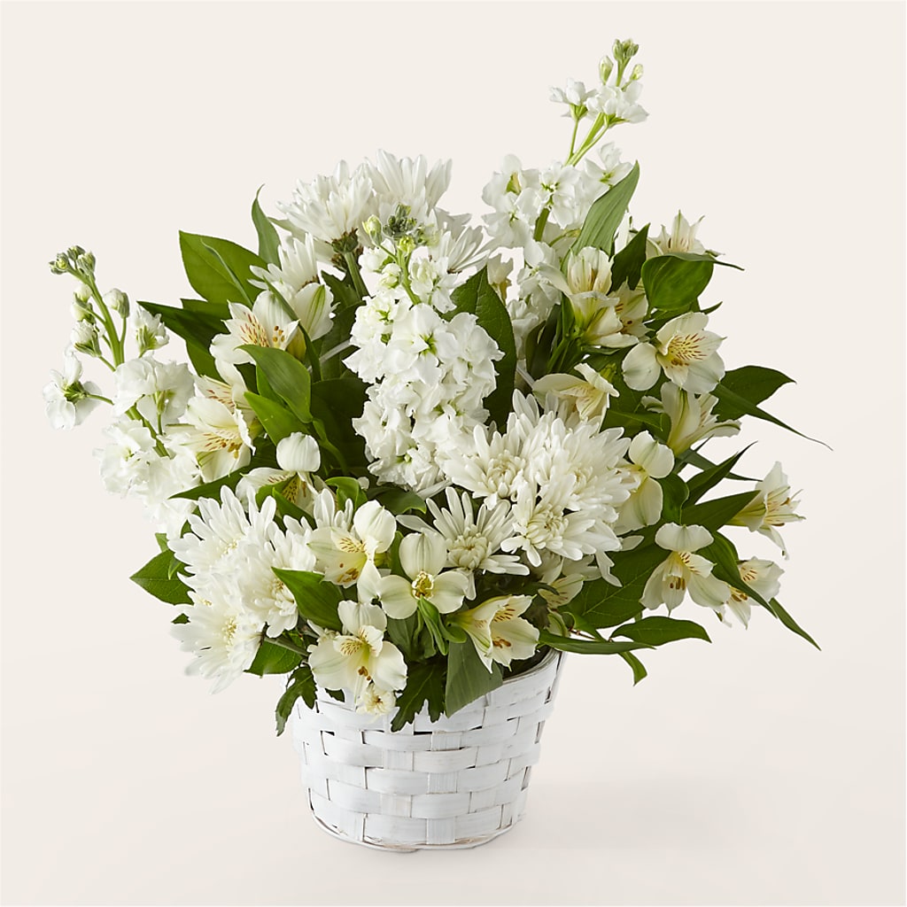 Eternal Affection Arrangement – POTRATZ FLORAL SHOP & GREENHOUSES, Erie PA