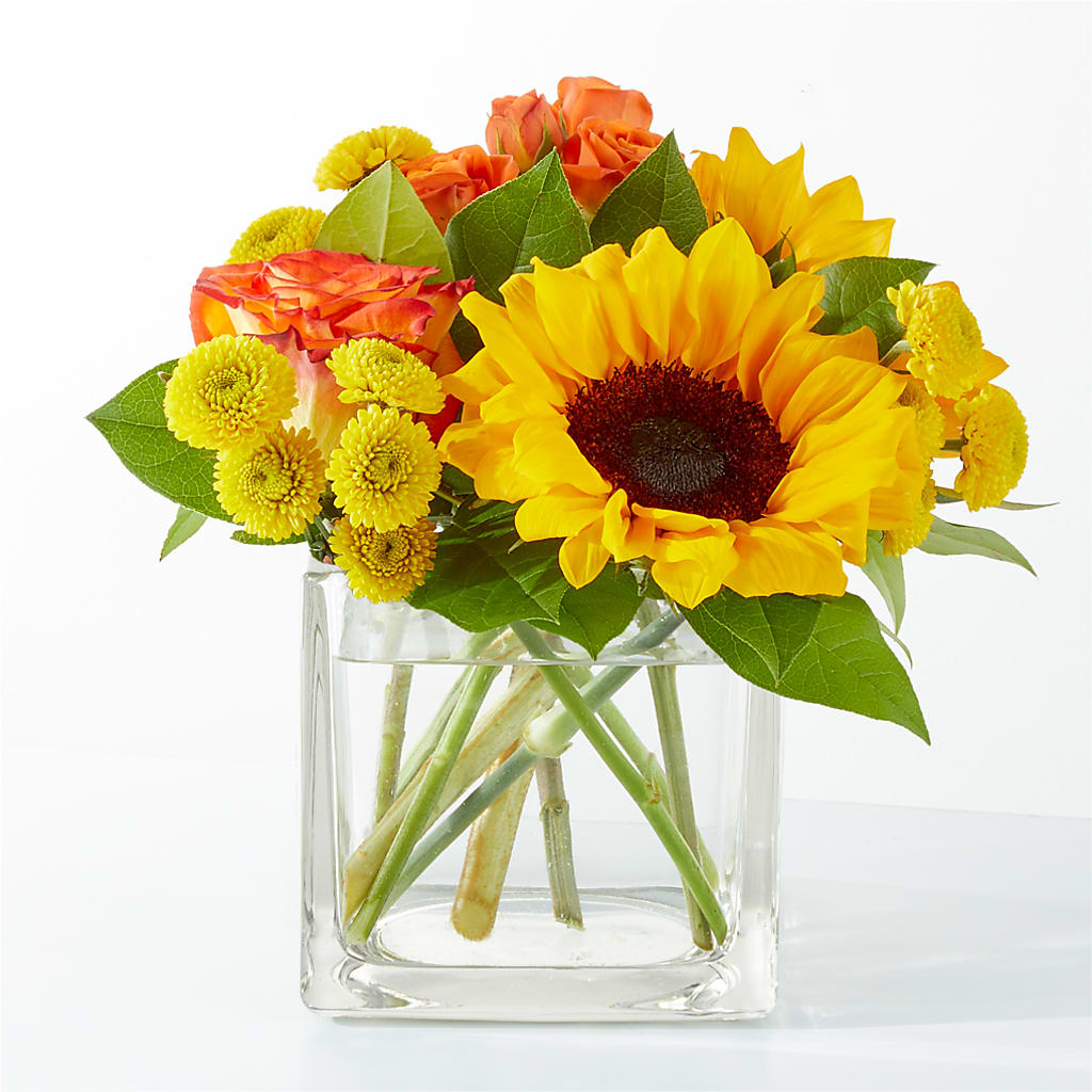 Picnic in the Park Bouquet – POTRATZ FLORAL SHOP & GREENHOUSES, Erie PA
