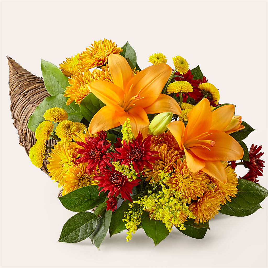 Feast of Color Cornucopia – POTRATZ FLORAL SHOP & GREENHOUSES, Erie PA