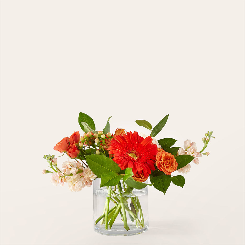 Paloma Please Bouquet – POTRATZ FLORAL SHOP & GREENHOUSES, Erie PA