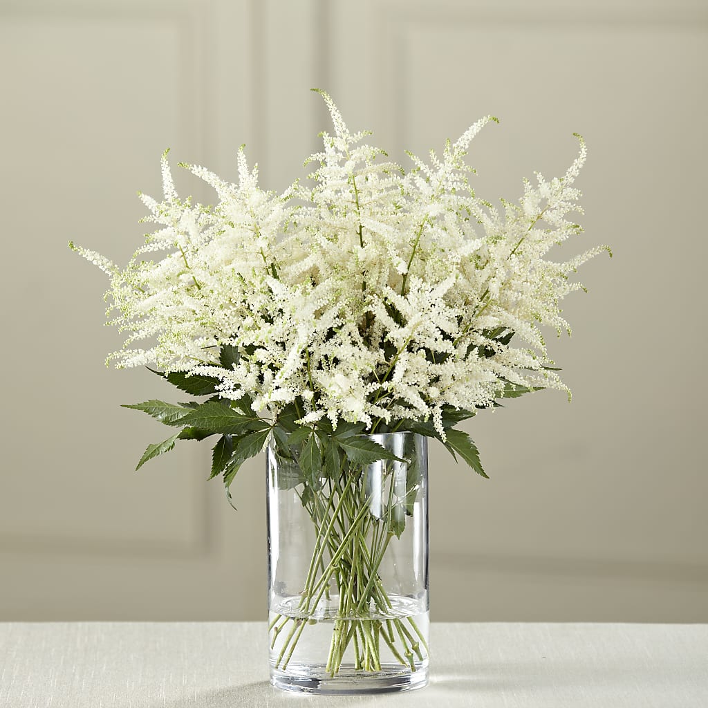 White Astilbe Bouquet – POTRATZ FLORAL SHOP & GREENHOUSES, Erie PA