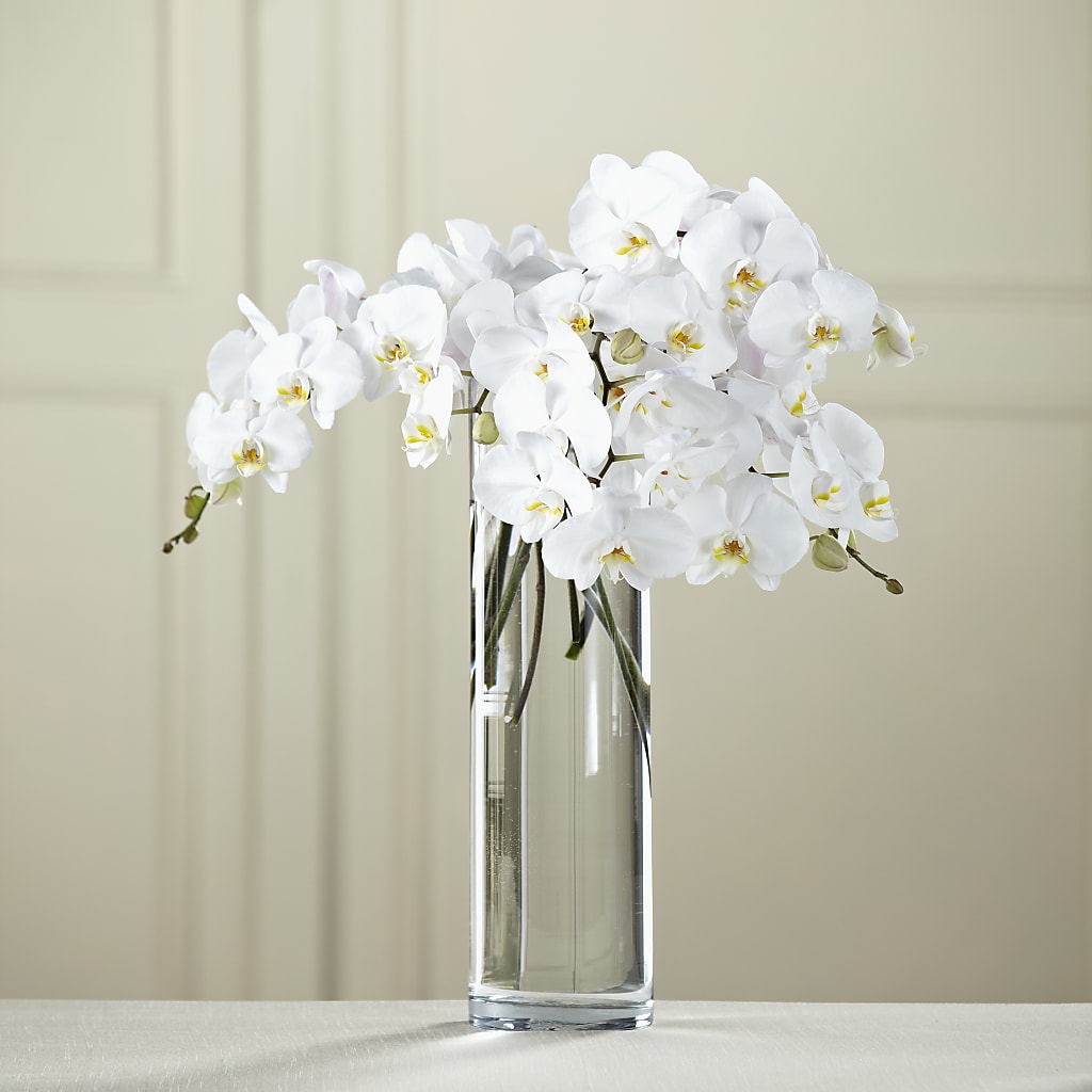 White Phalaenopsis Bouquet – POTRATZ FLORAL SHOP & GREENHOUSES, Erie PA