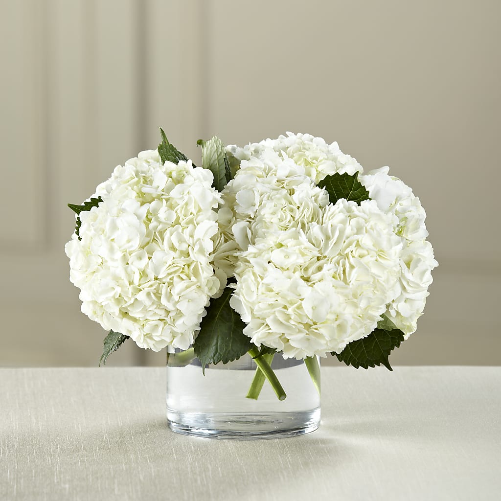 White Hydrangea Bouquet – POTRATZ FLORAL SHOP & GREENHOUSES, Erie PA