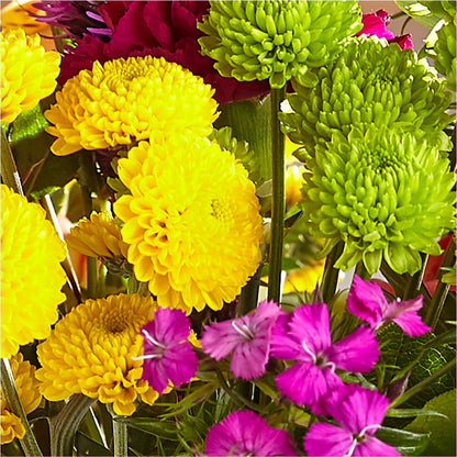 Bold & Bright – A Florist Original – POTRATZ FLORAL SHOP & GREENHOUSES, Erie PA