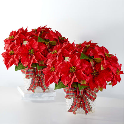 Happiest Holidays Poinsettia Bundle – POTRATZ FLORAL SHOP & GREENHOUSES, Erie PA