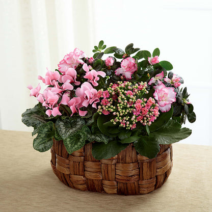 Pink Assortment – POTRATZ FLORAL SHOP & GREENHOUSES, Erie PA