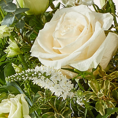 Cashmere Bouquet – POTRATZ FLORAL SHOP & GREENHOUSES, Erie PA
