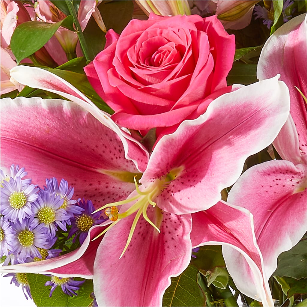 Written in the Stars Bouquet – POTRATZ FLORAL SHOP & GREENHOUSES, Erie PA