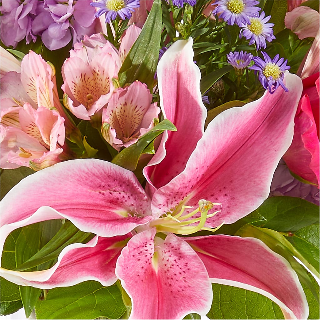 Written in the Stars Bouquet – POTRATZ FLORAL SHOP & GREENHOUSES, Erie PA