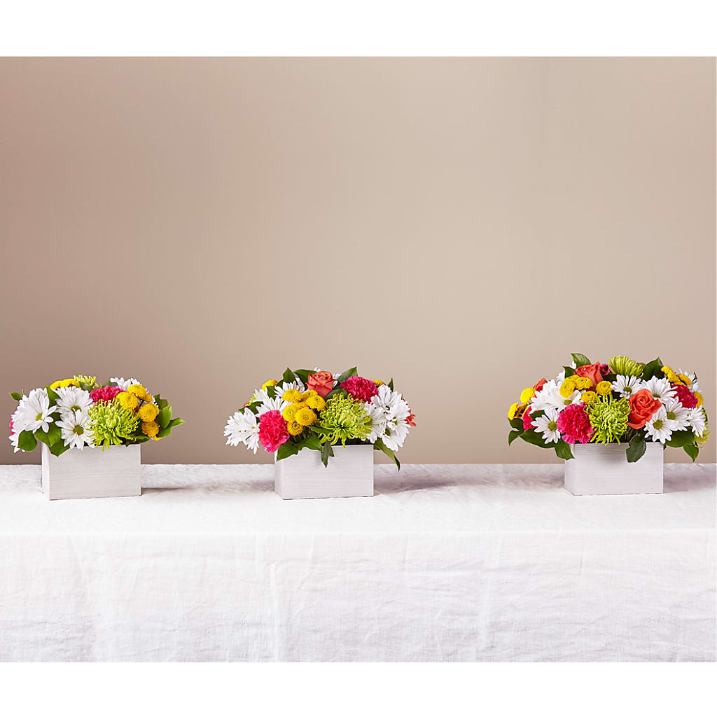 Sorbet Bouquet – POTRATZ FLORAL SHOP & GREENHOUSES, Erie PA