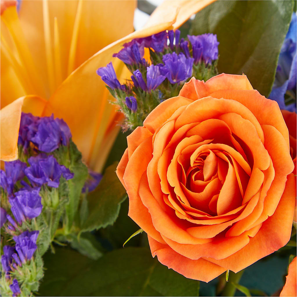 Radiant Citrus Box Bouquet – POTRATZ FLORAL SHOP & GREENHOUSES, Erie PA