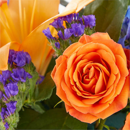 Radiant Citrus Box Bouquet – POTRATZ FLORAL SHOP & GREENHOUSES, Erie PA