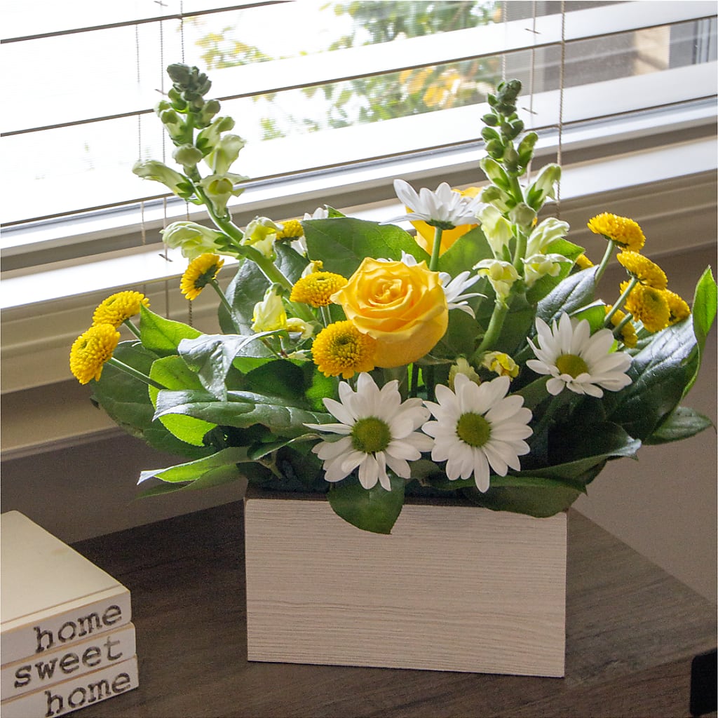 Sun Salutation Box Bouquet – POTRATZ FLORAL SHOP & GREENHOUSES, Erie PA