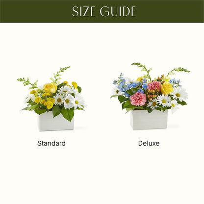 Sun Salutation Box Bouquet – POTRATZ FLORAL SHOP & GREENHOUSES, Erie PA