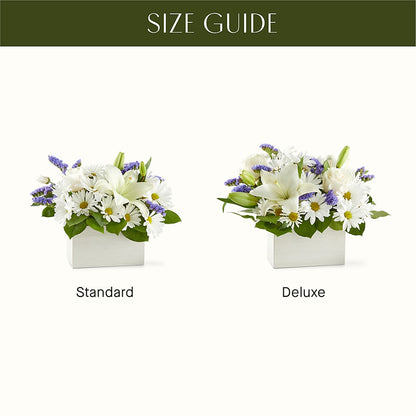 Beyond Blue Box Bouquet – POTRATZ FLORAL SHOP & GREENHOUSES, Erie PA