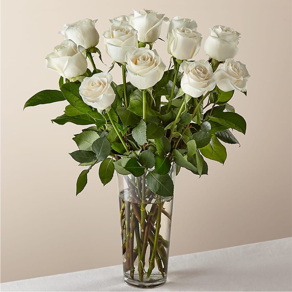 Long Stem White Rose Bouquet – POTRATZ FLORAL SHOP & GREENHOUSES, Erie PA