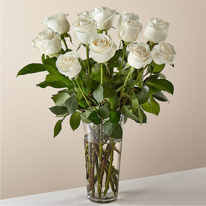 Long Stem White Rose Bouquet – POTRATZ FLORAL SHOP & GREENHOUSES, Erie PA