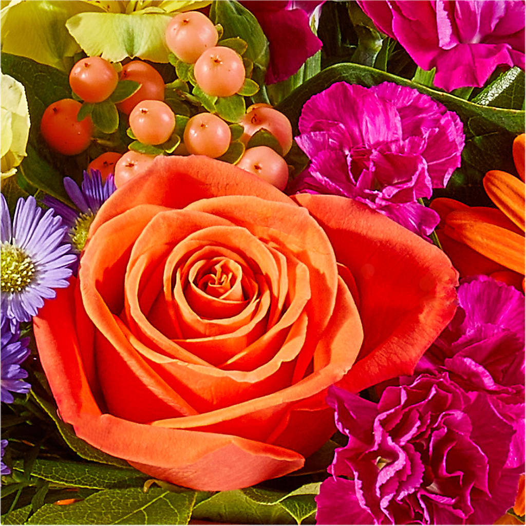 Tricks & Treats Pumpkin – POTRATZ FLORAL SHOP & GREENHOUSES, Erie PA