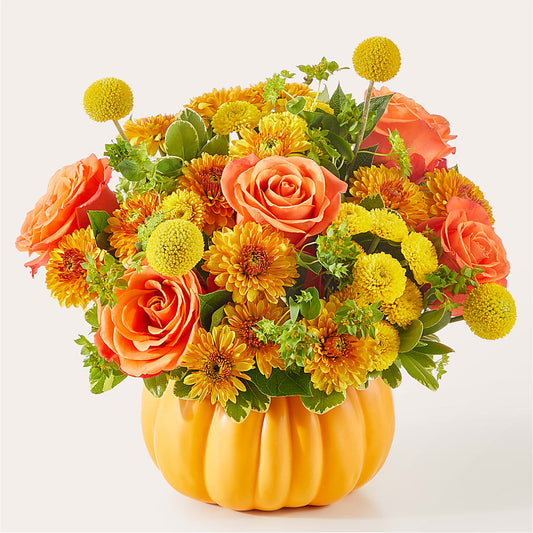 Gourdgeous Pumpkin – POTRATZ FLORAL SHOP & GREENHOUSES, Erie PA