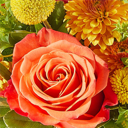 Gourdgeous Pumpkin – POTRATZ FLORAL SHOP & GREENHOUSES, Erie PA