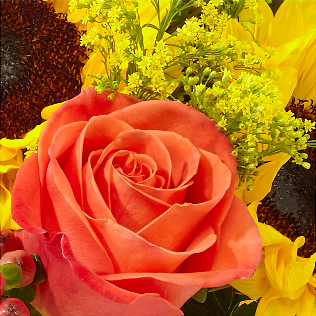 Pick of the Patch Pumpkin Bouquet – POTRATZ FLORAL SHOP & GREENHOUSES, Erie PA