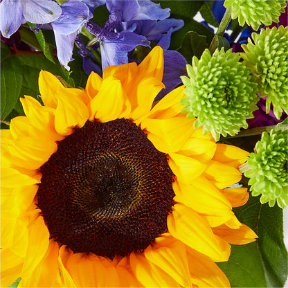 Catching Rays Bouquet – POTRATZ FLORAL SHOP & GREENHOUSES, Erie PA