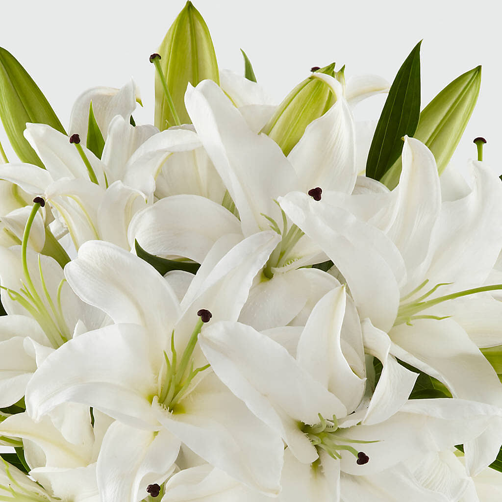 Faithful Blessings Bouquet – POTRATZ FLORAL SHOP & GREENHOUSES, Erie PA