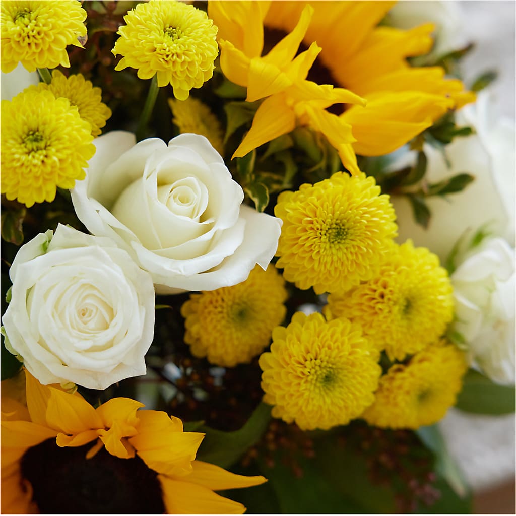Luminous Morning Bouquet – POTRATZ FLORAL SHOP & GREENHOUSES, Erie PA