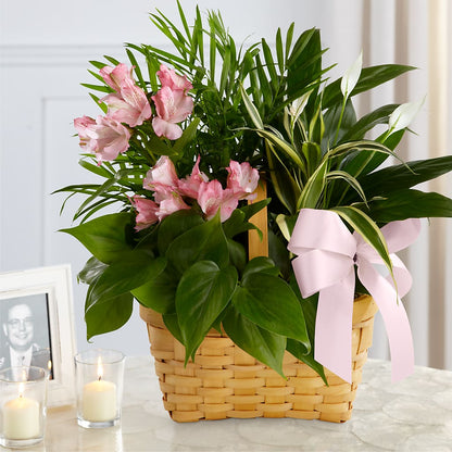 Living Spirit Dishgarden – POTRATZ FLORAL SHOP & GREENHOUSES, Erie PA