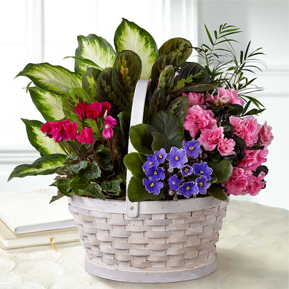 Peaceful Garden Planter – POTRATZ FLORAL SHOP & GREENHOUSES, Erie PA